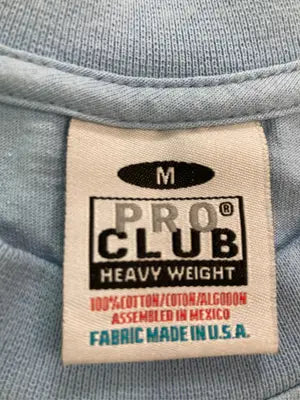 PRO CLUB/Tシャツ/カットソー/トップス/スカイブルー/M