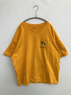 Champion/チャンピオン/Tシャツ/カットソー/トップス/オレンジ