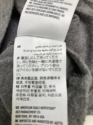 AMERICAN EAGLE/アメリカンイーグル/Tシャツ/カットソー/トップス/グレー/XS