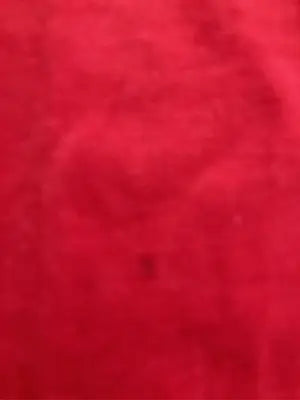 Champion/チャンピオン/Tシャツ/カットソー/トップス/レッド/L