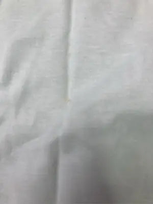 BACK NUMBER/バックナンバー/Tシャツ/カットソー/トップス/ライトグリーン/L