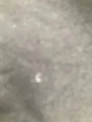 flechas/Tシャツ/カットソー/トップス/ブラック/M