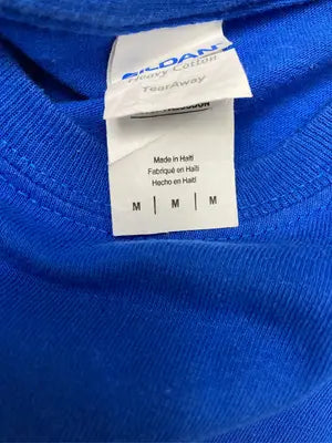 GILDAN/ギルダン/Tシャツ/カットソー/トップス/ブルー/M