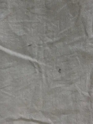 coen/コーエン/シャツ/ブラウス/トップス/ベージュ/M