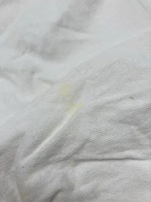 Tシャツ/カットソー/トップス/ホワイト