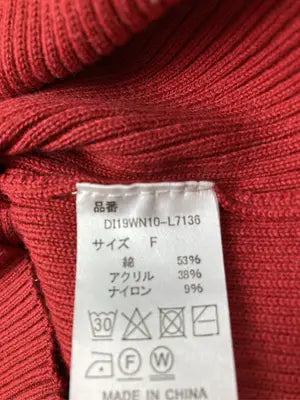 DISPARK/Tシャツ/カットソー/トップス/レッド/F