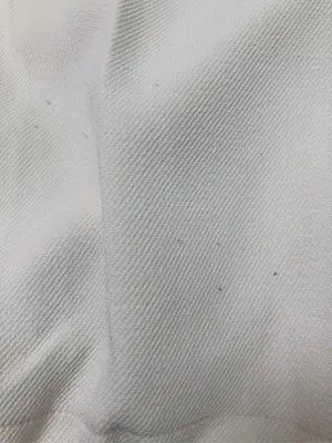 CAPRICIEUX LE'MAGE/カプリシュレマージュ/Tシャツ/カットソー/トップス/アイボリー/F