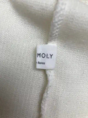 HOLYMOLY/ホーリーモーリー/Tシャツ/カットソー/トップス/アイボリー