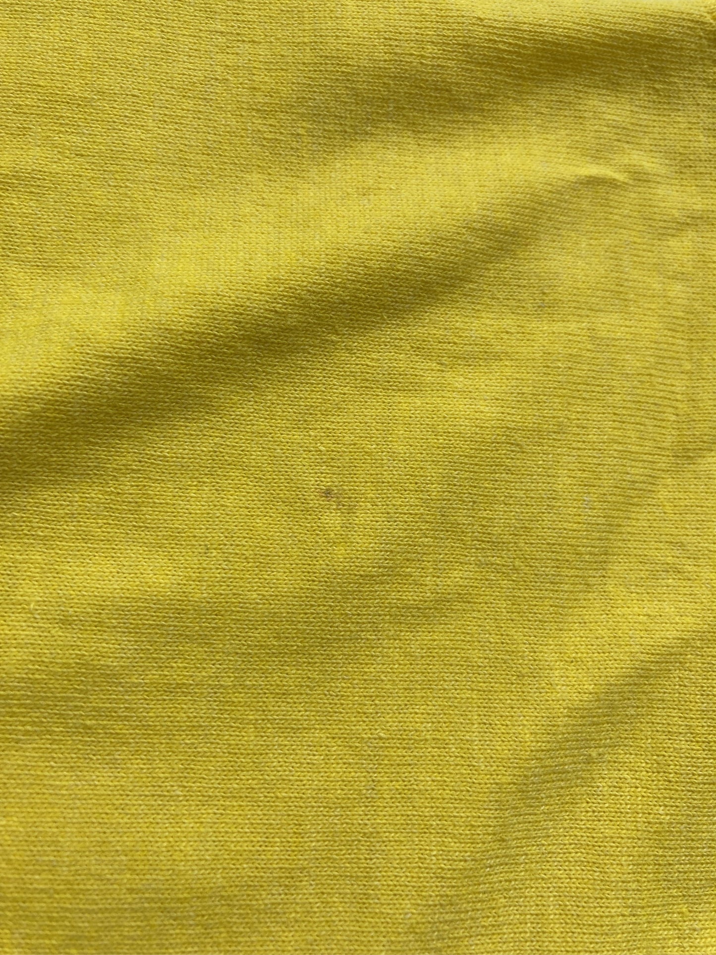 SCREEN STARS BEST/スクリーンスターズベスト/Tシャツ/カットソー/トップス/イエロー/L