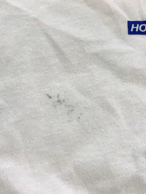 HOLLISTER/ホリスター/Tシャツ/カットソー/トップス/ホワイト/M