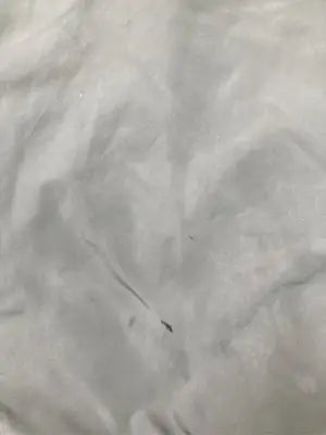 BASQUE/バスク/ブルゾン/ジャケット/アウター/ベージュ