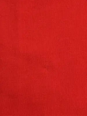 GUESS/ゲス/Tシャツ/カットソー/トップス/レッド/XL