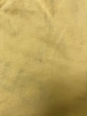 NEXT LEVEL/Tシャツ/カットソー/トップス/イエロー/M