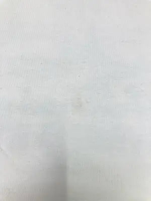 Dickies/ディッキーズ/Tシャツ/カットソー/トップス/ホワイト/F