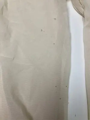 fifth/フィフス/Tシャツ/カットソー/トップス/アイボリー