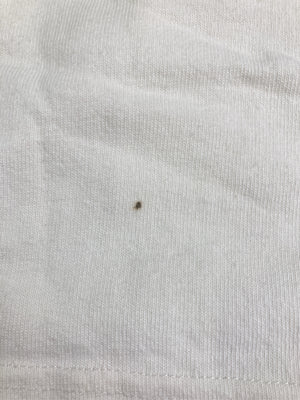 Op/オーピー/Tシャツ/カットソー/トップス/アイボリー/L