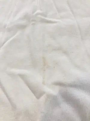 REFRESH/Tシャツ/カットソー/トップス/アイボリー/M