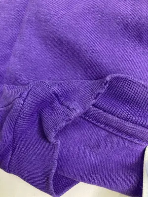 Hanes/ヘインズ/Tシャツ/カットソー/トップス/パープル/XL