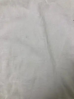 Tシャツ/カットソー/トップス/ホワイト/M