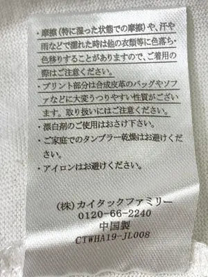 FLASH BLUE/フラッシュブルー/Tシャツ/カットソー/トップス/アイボリー/L