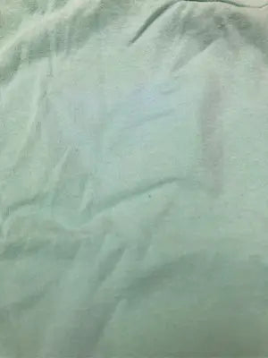 SANTA CRUZ/サンタクルーズ/Tシャツ/カットソー/トップス/ライトグリーン/M