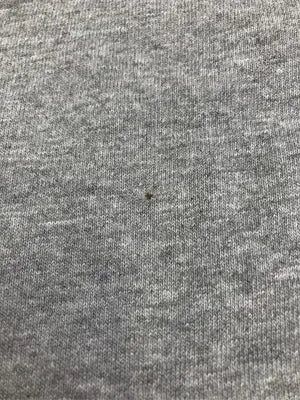 Goodwear/グッドウェア/Tシャツ/カットソー/トップス/グレー/M