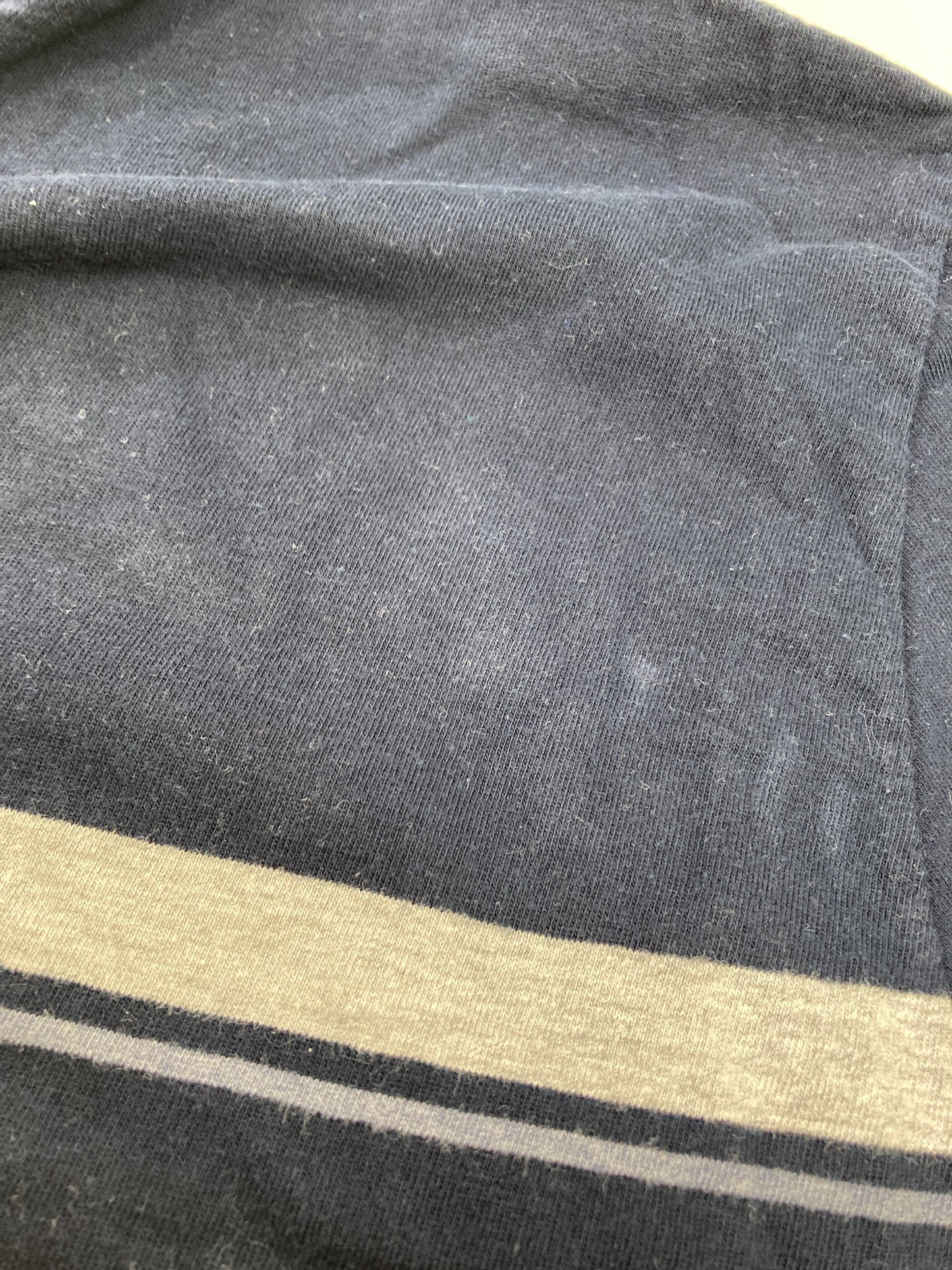 AMERICAN EAGLE/アメリカンイーグル/Tシャツ/カットソー/トップス/ネイビー/L