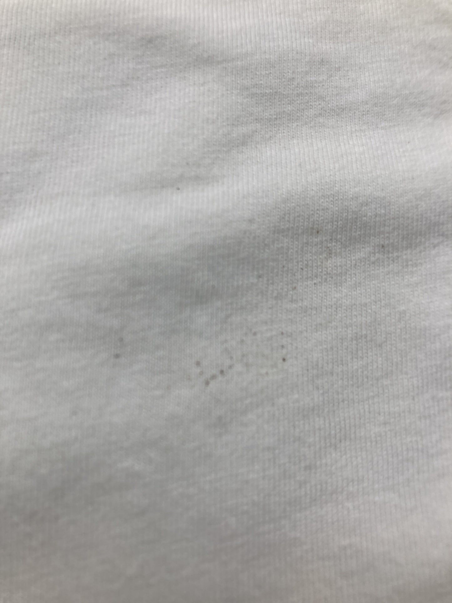 GLACIER/グラシア/Tシャツ/カットソー/トップス/ホワイト/L