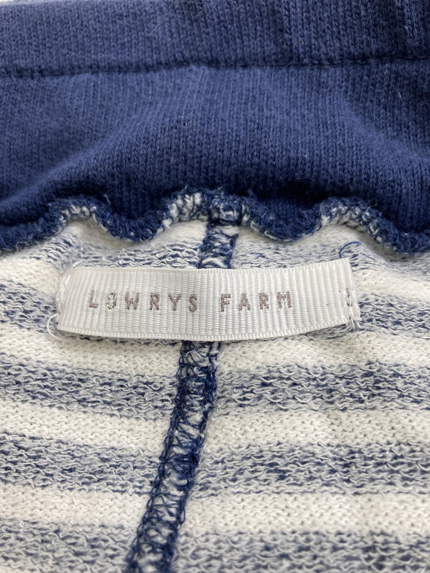 LOWRYS FARM/ローリーズファーム/ロングスカート/スカート/ブルー/F
