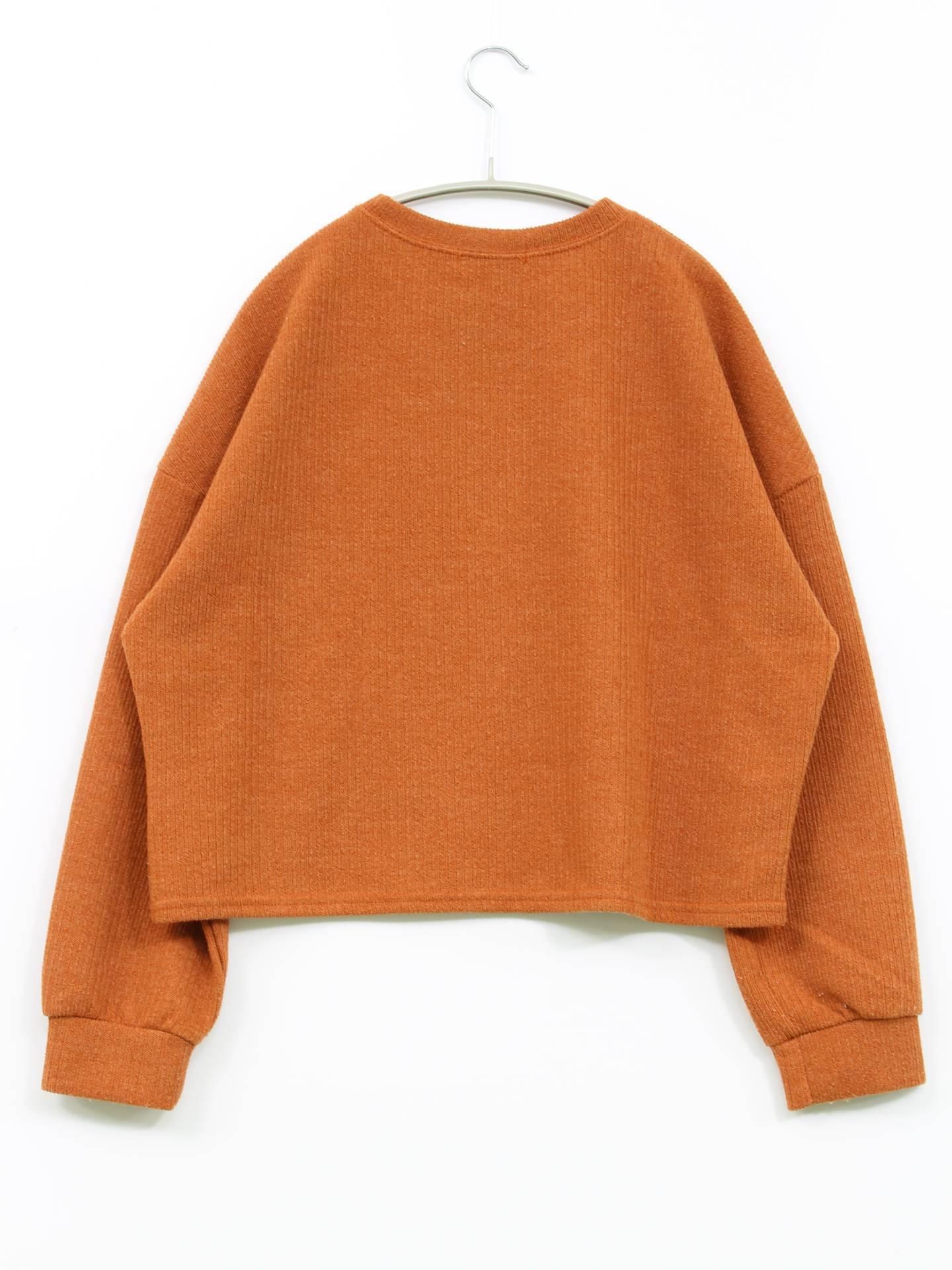 HOTPING/Tシャツ/カットソー/トップス/ブラウン/1