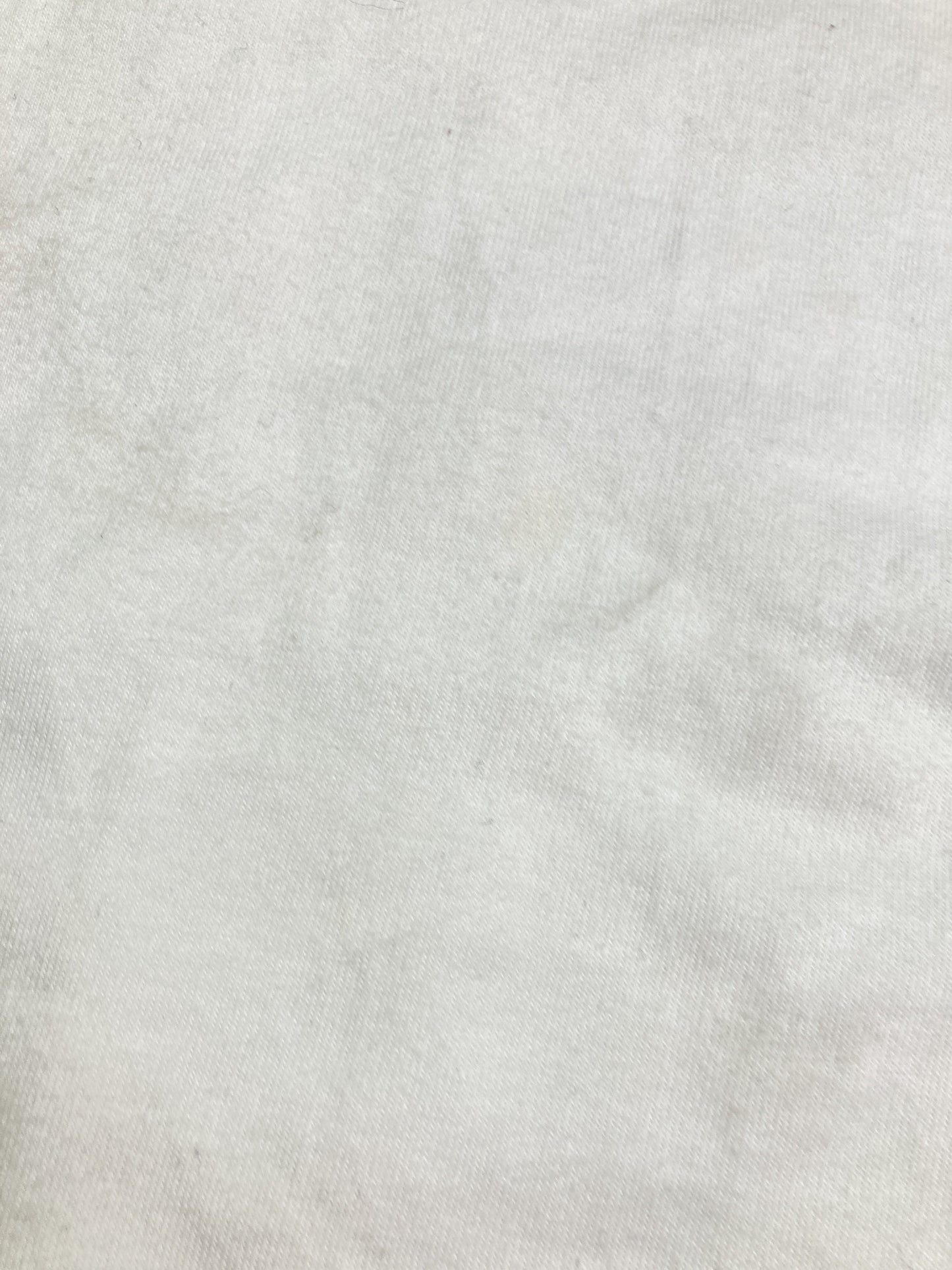 STOCKHOLM SYNDROME/Tシャツ/カットソー/トップス/ホワイト/F