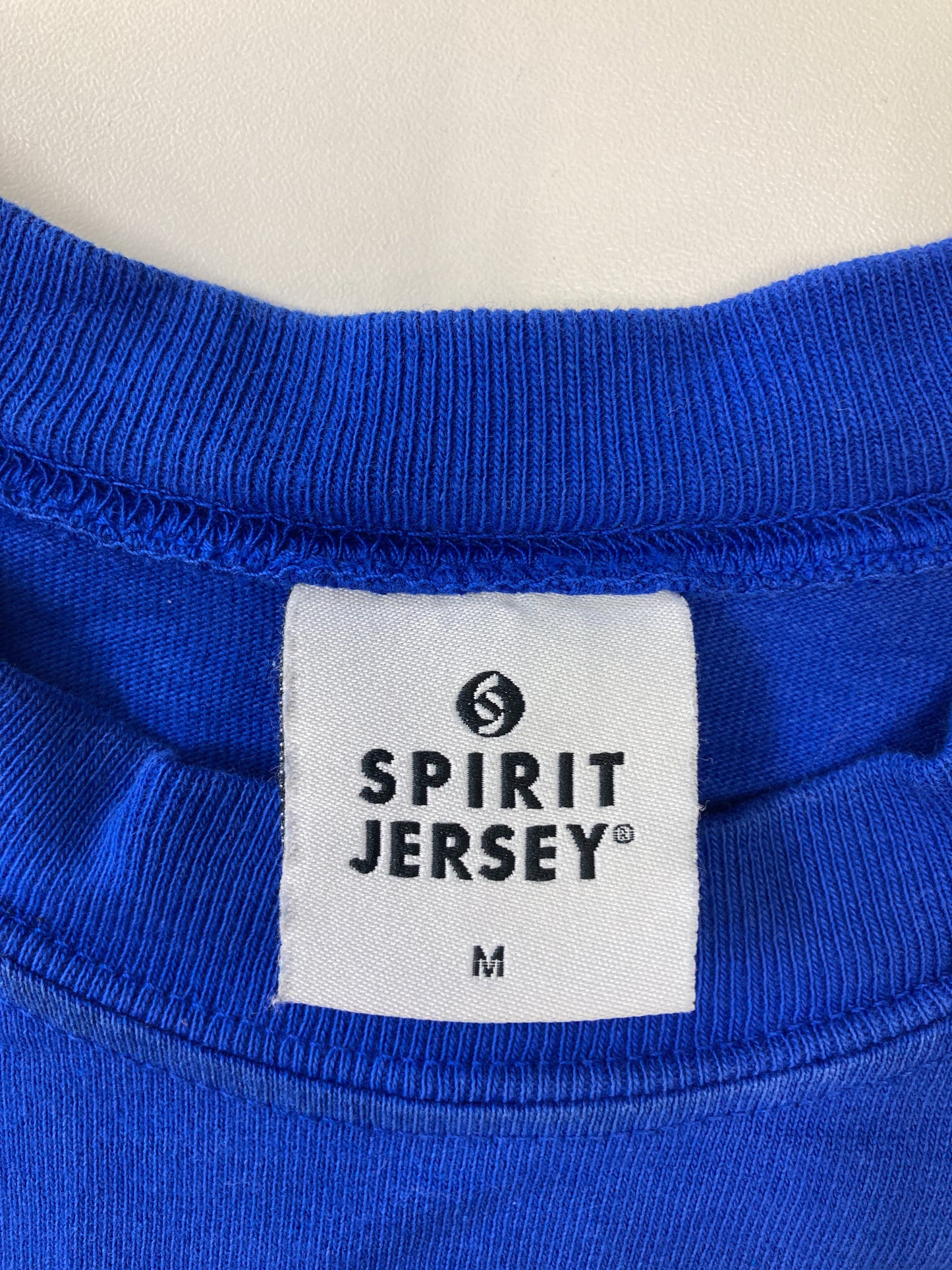 SPIRIT JERSEY/Tシャツ/カットソー/トップス/ブルー/M