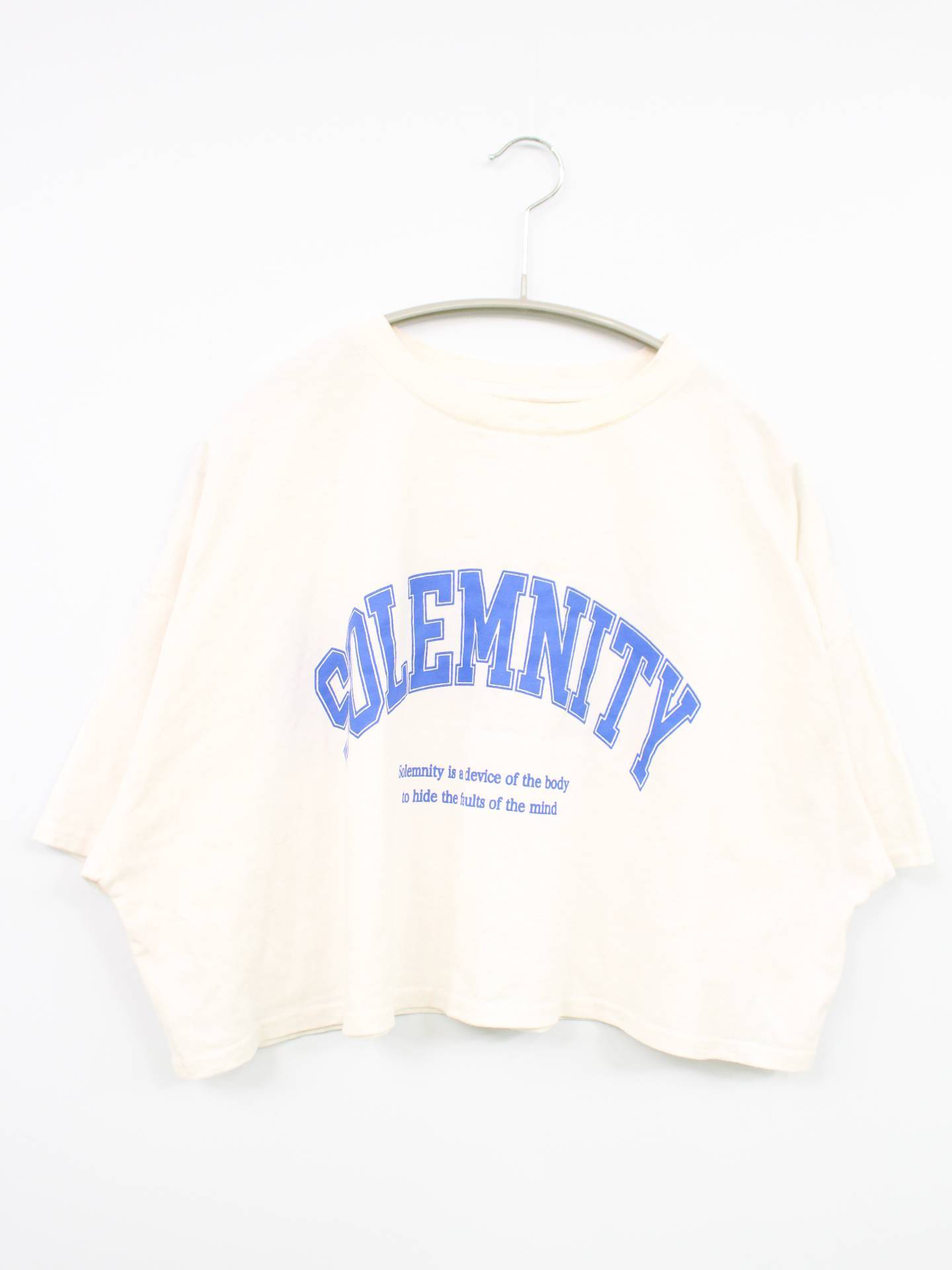 Tシャツ/カットソー/トップス/ホワイト/F