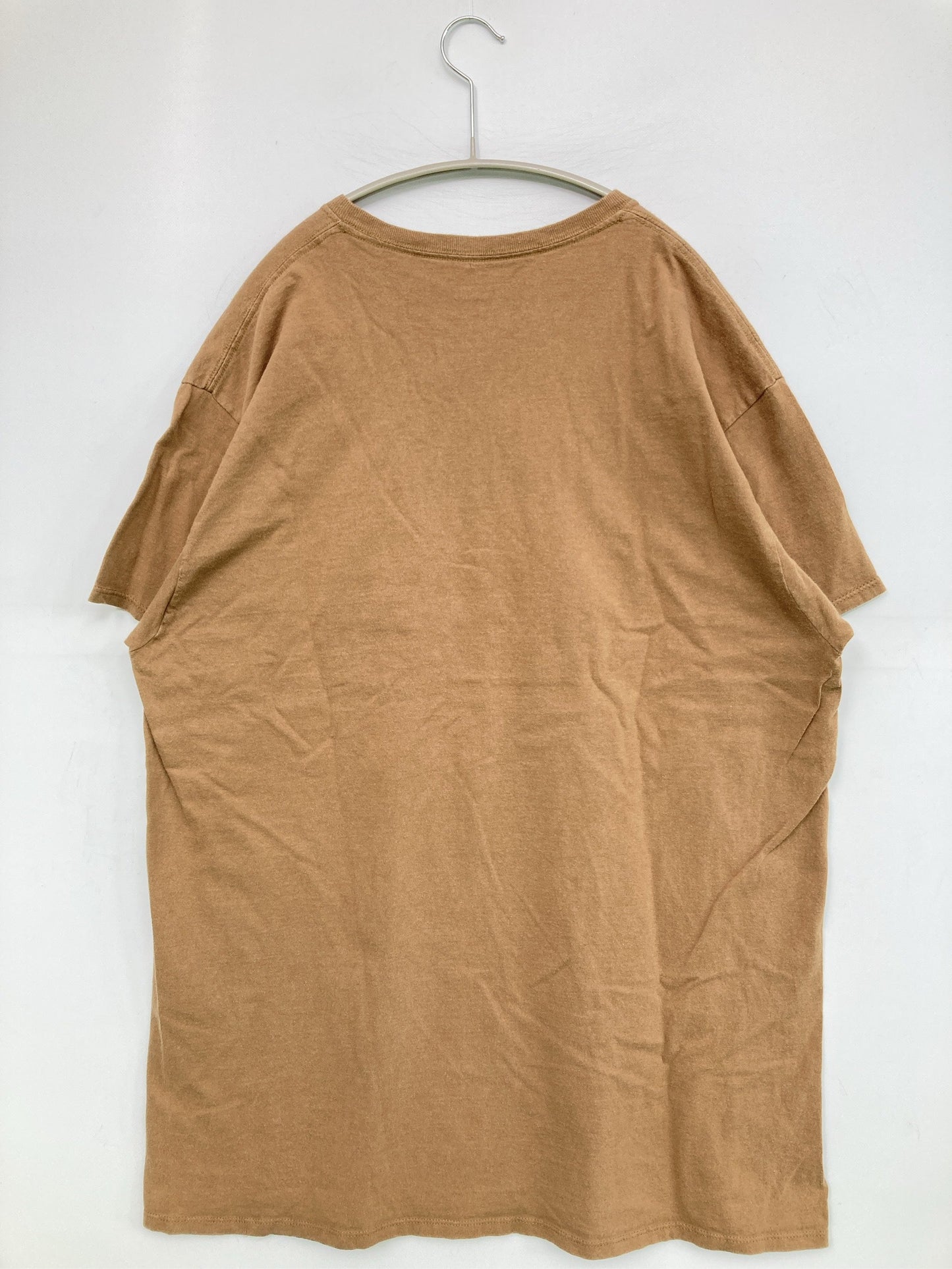 FRUIT OF THE LOOM/フルーツオブザルーム/Tシャツ/カットソー/トップス/ブラウン/XL
