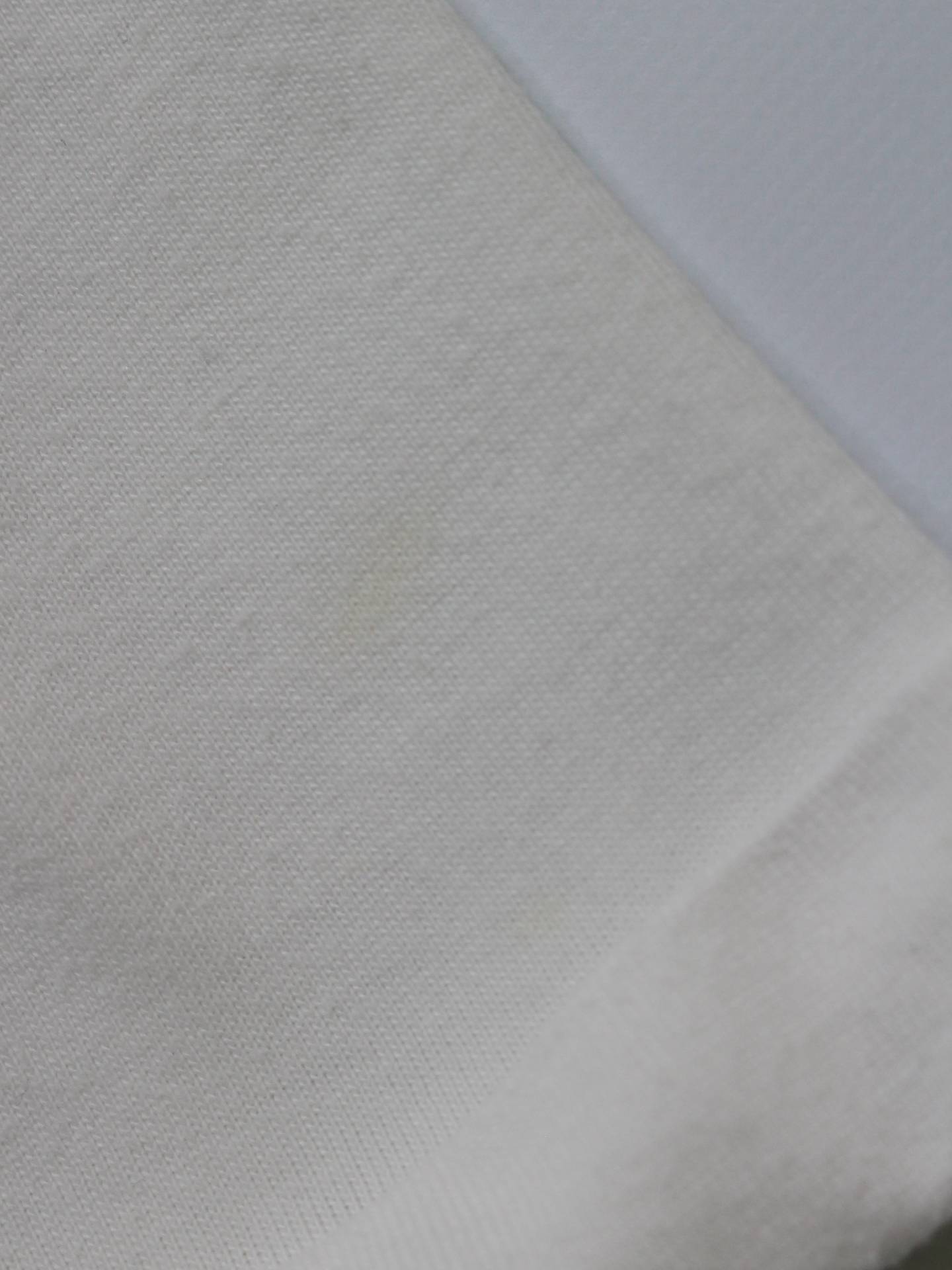 RAY CASSIN/Tシャツ/カットソー/トップス/ホワイト/F