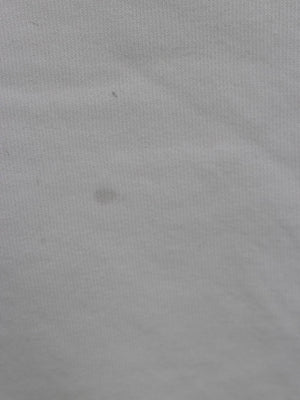 ZARA/ザラ/ロングスカート/スカート/ホワイト/EUR S/USA S/MEX 26