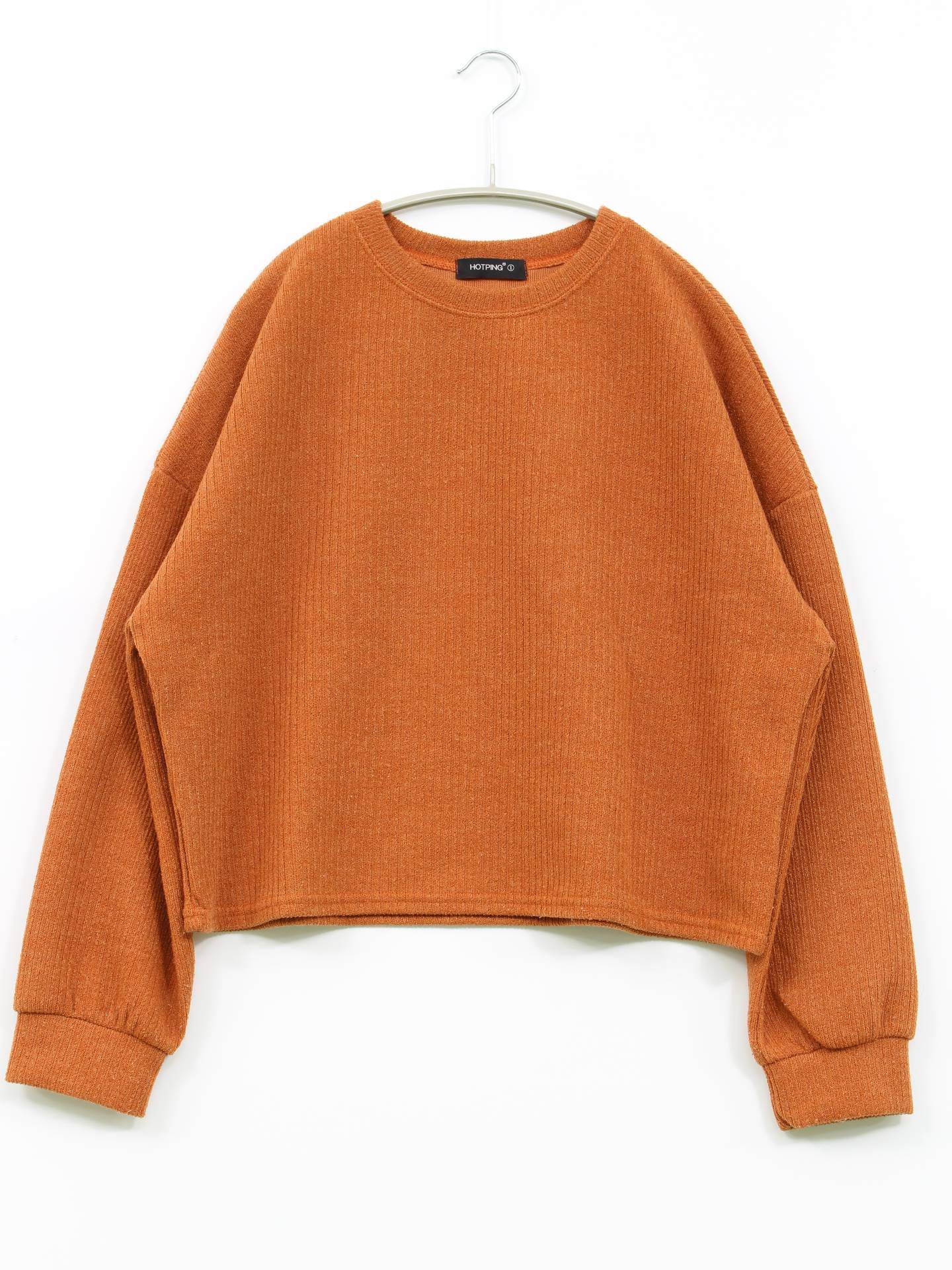 HOTPING/Tシャツ/カットソー/トップス/ブラウン/1