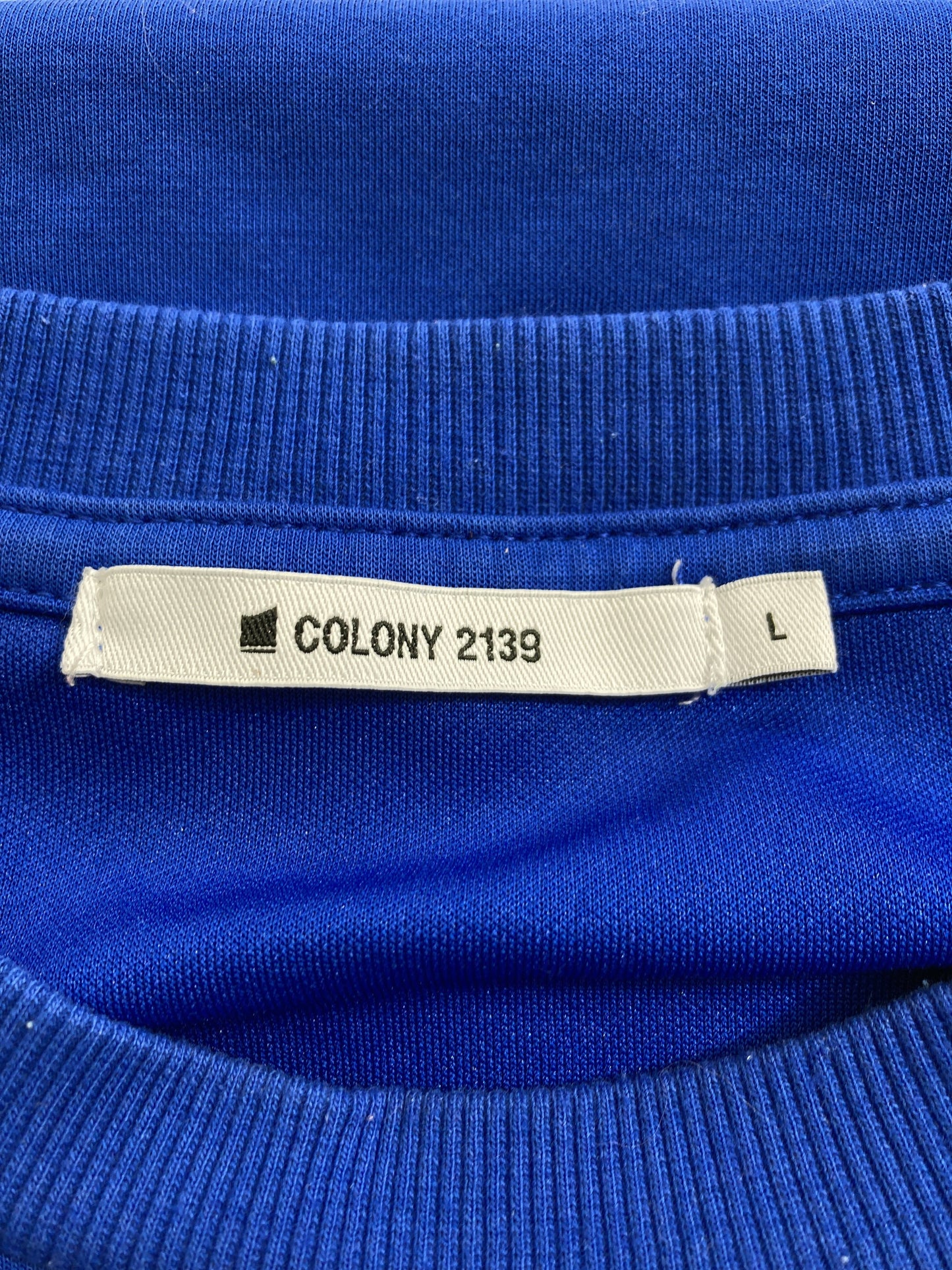 COLONY 2139/コロニートゥーワンスリーナイン/Tシャツ/カットソー/トップス/ブルー/L