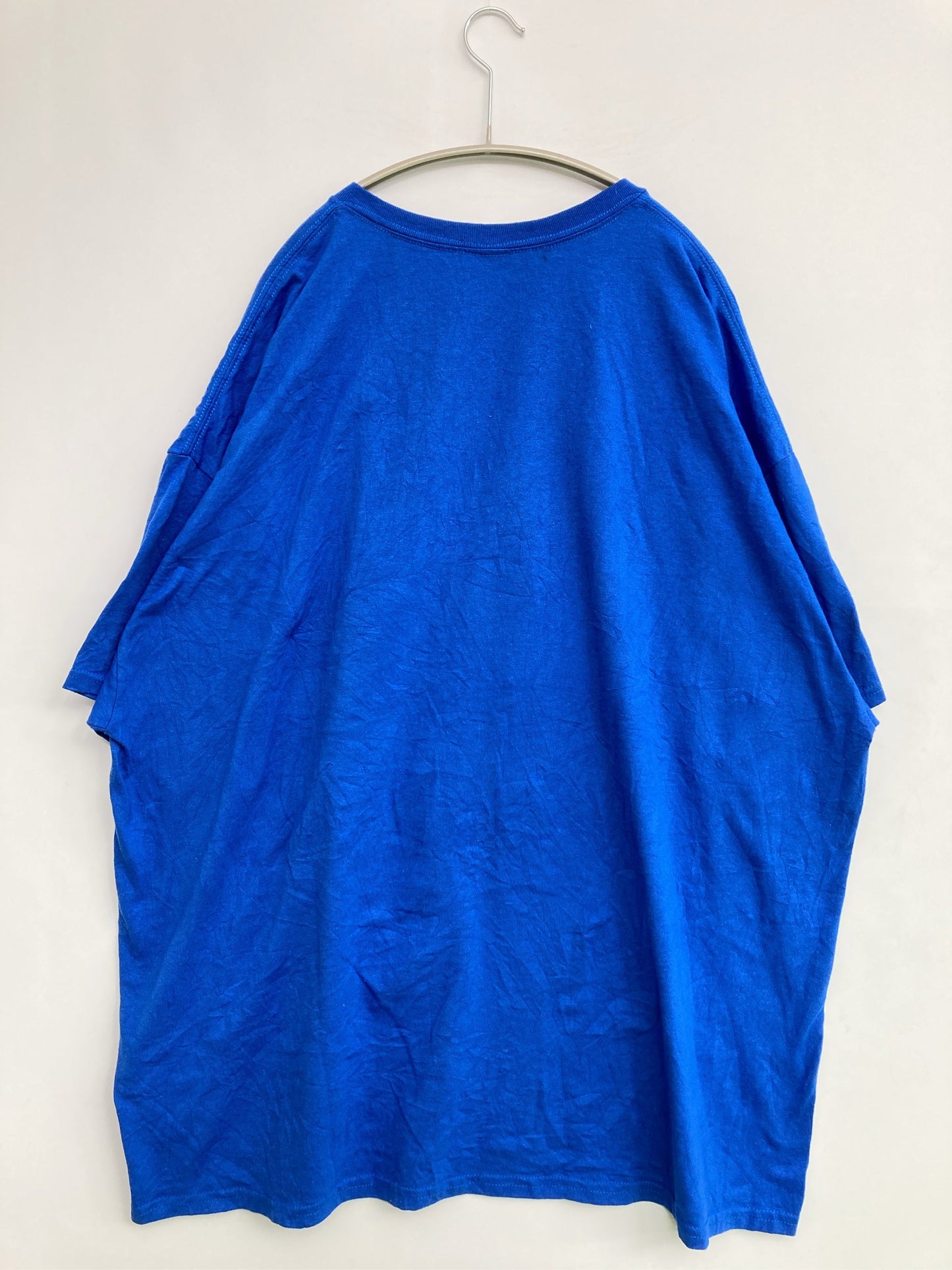 Tシャツ/カットソー/トップス/ブルー