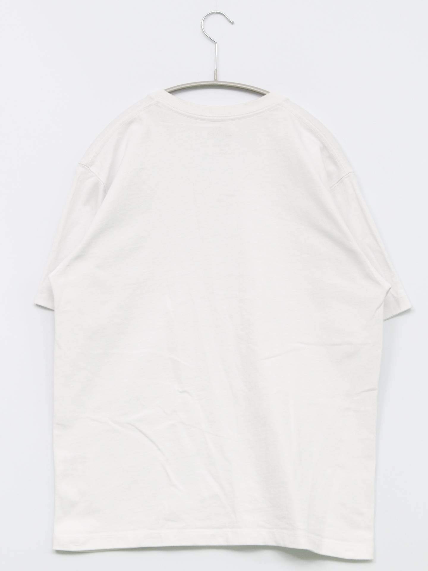 DANTON/Tシャツ/カットソー/トップス/ホワイト