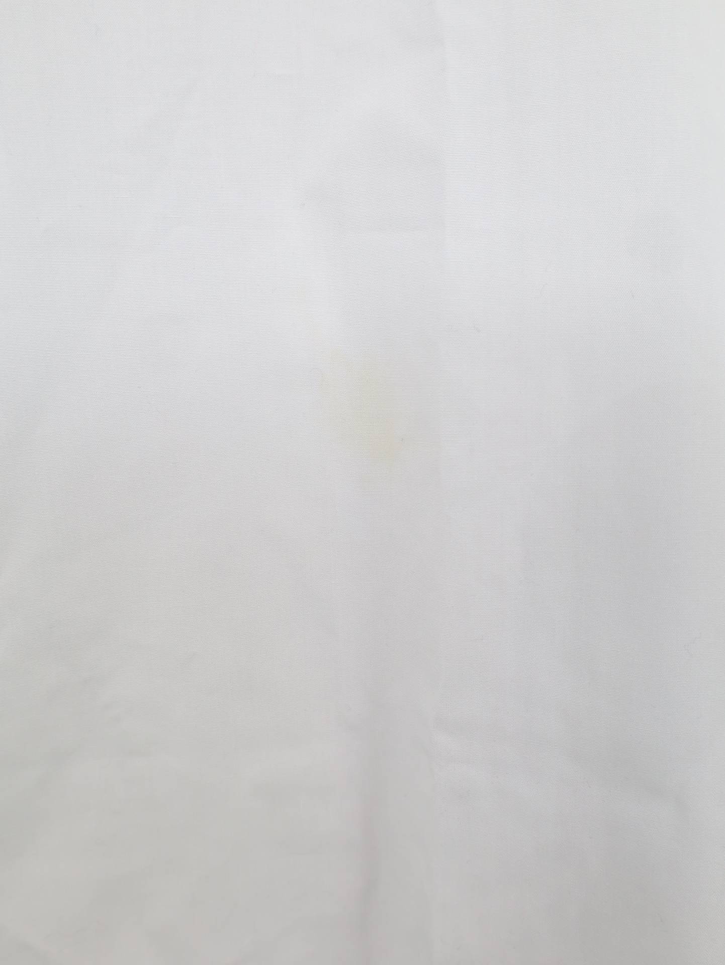 COLLEGE CULB/シャツ/ブラウス/トップス/ホワイト/L
