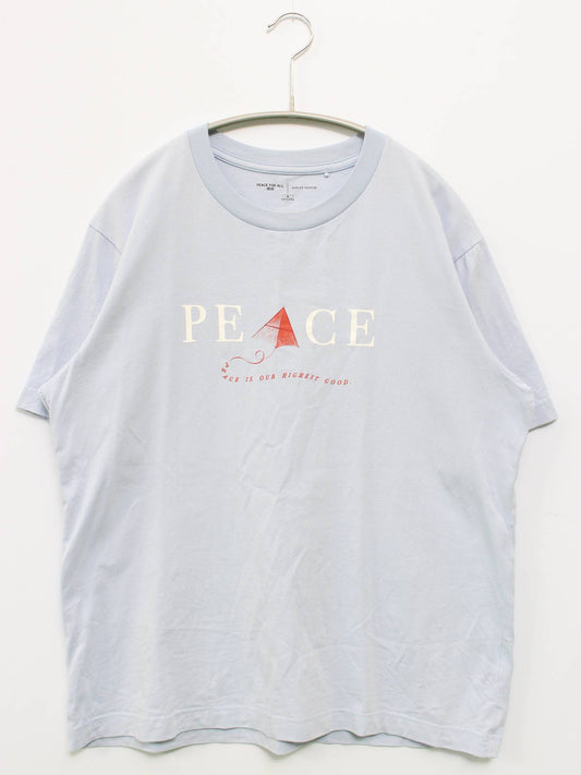 UNIQLO/ユニクロ/Tシャツ/カットソー/トップス/スカイブルー/M