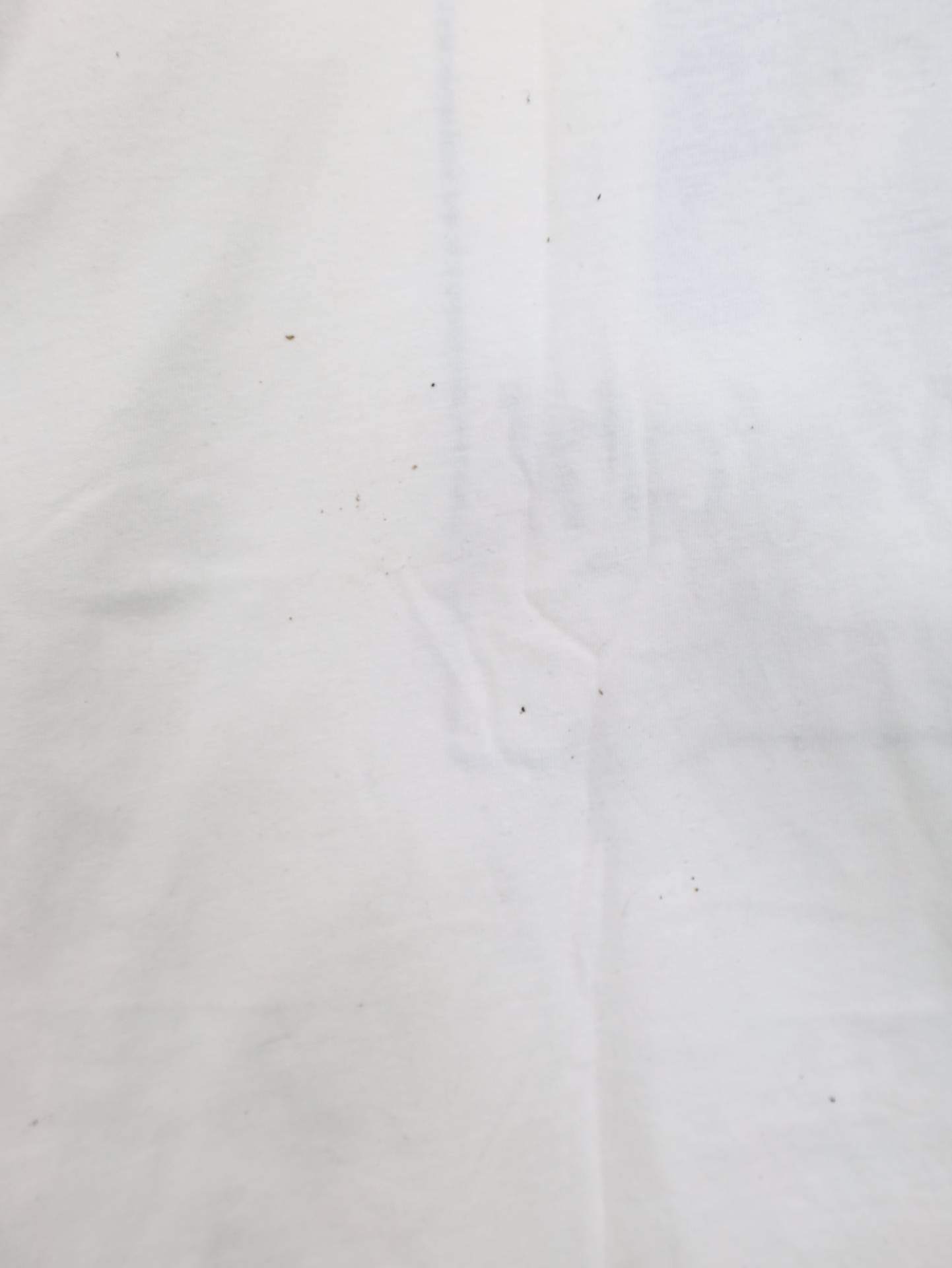 ZARA/ザラ/Tシャツ/カットソー/トップス/ホワイト/EUR M/USA M/ MEX 28