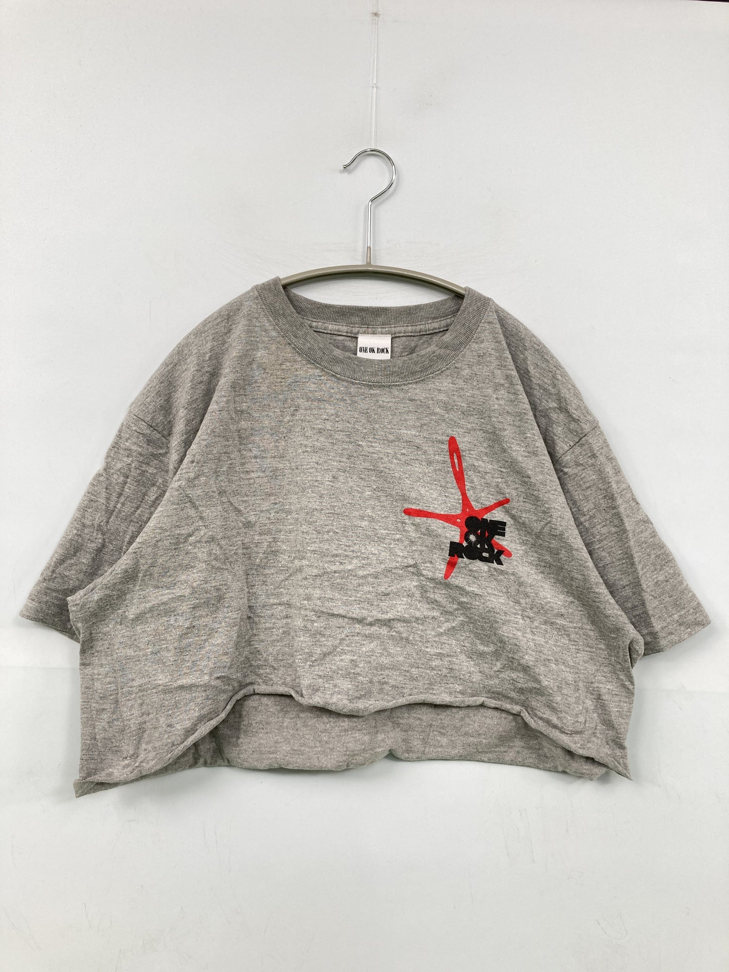 ONE OK ROCK/Tシャツ/カットソー/トップス/グレー/L