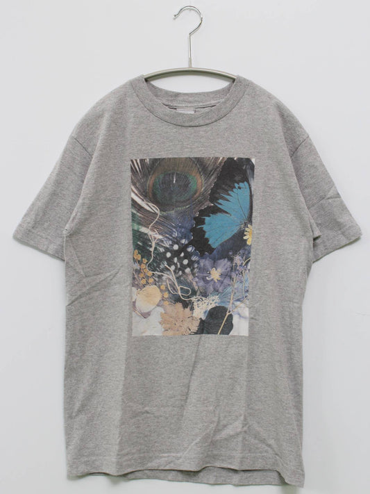 C/Tシャツ/カットソー/トップス/グレー/S