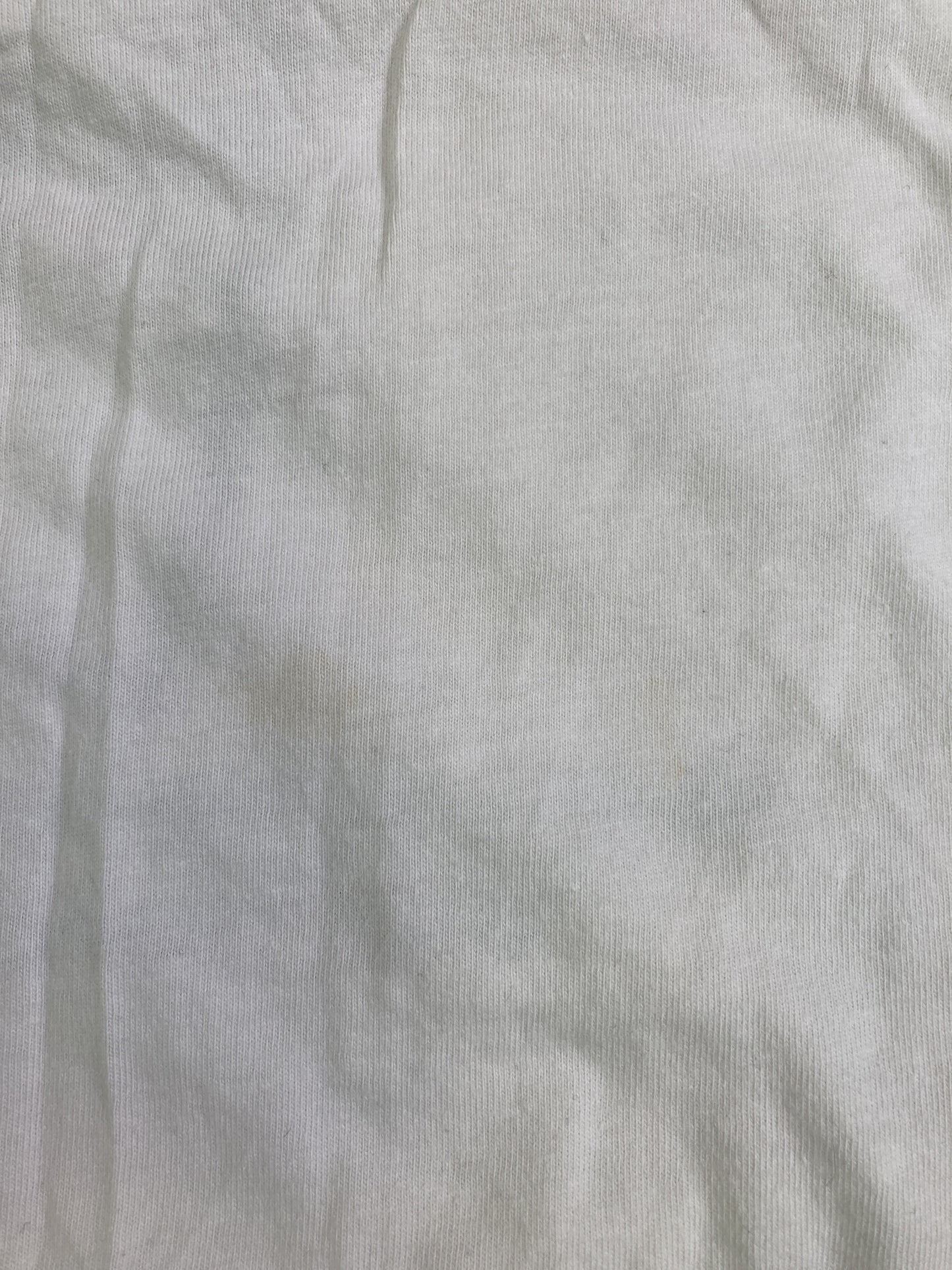 Tシャツ/カットソー/トップス/ホワイト/FREE