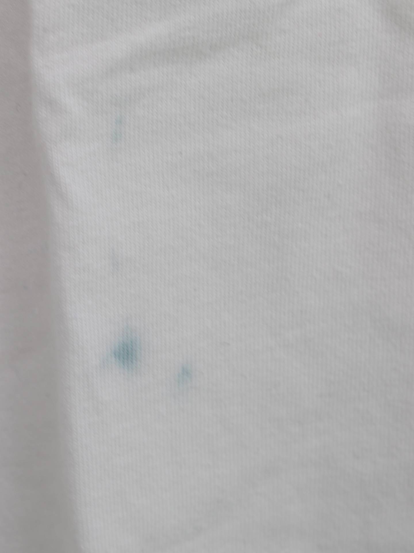 AZUL/Tシャツ/カットソー/トップス/ホワイト/M