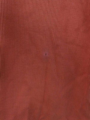 Ray BEAMS/レイビームス/その他トップス/トップス/オレンジ