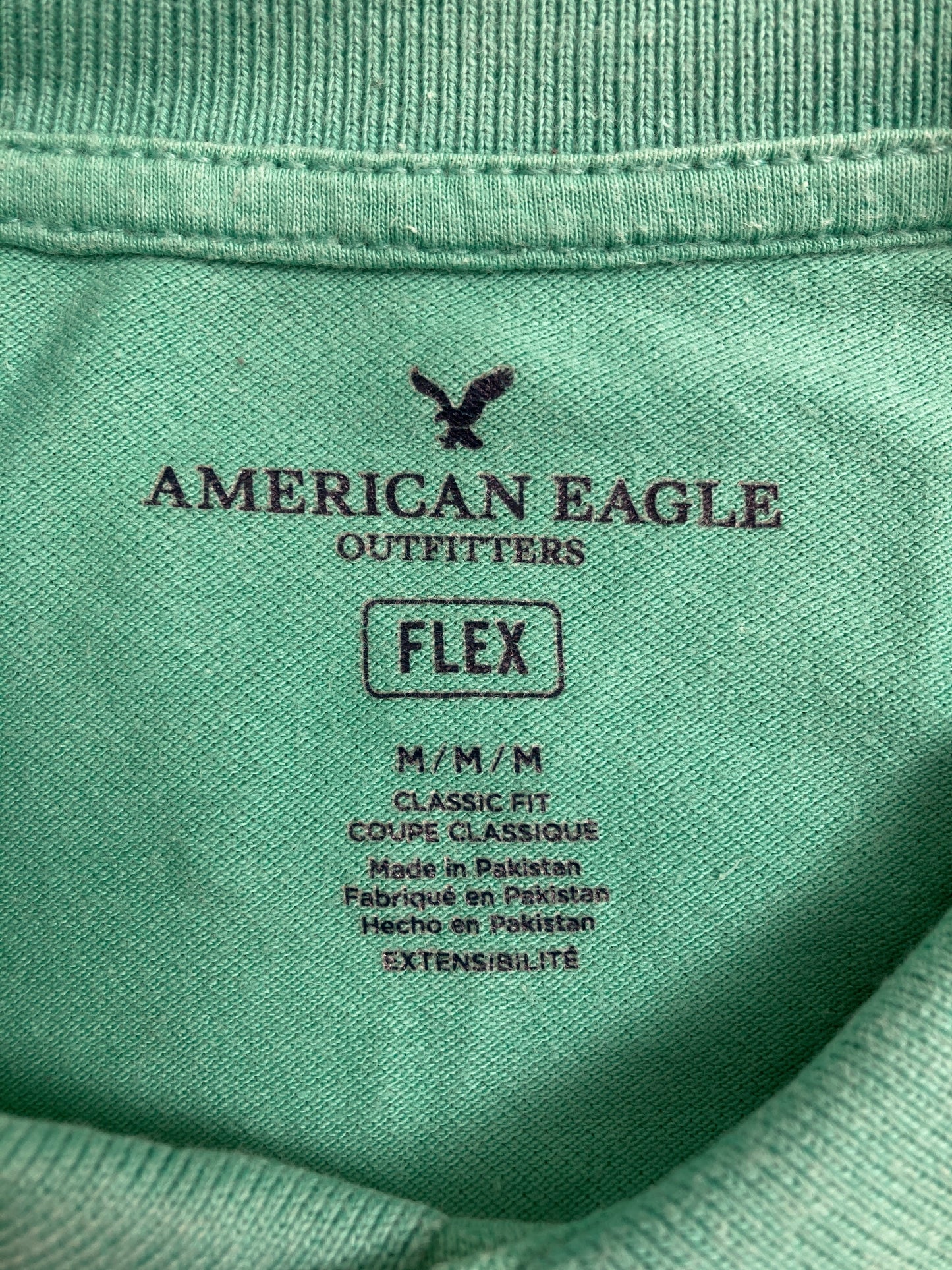 AMERICAN EAGLE/アメリカンイーグル/ポロシャツ/トップス/ライトグリーン/M