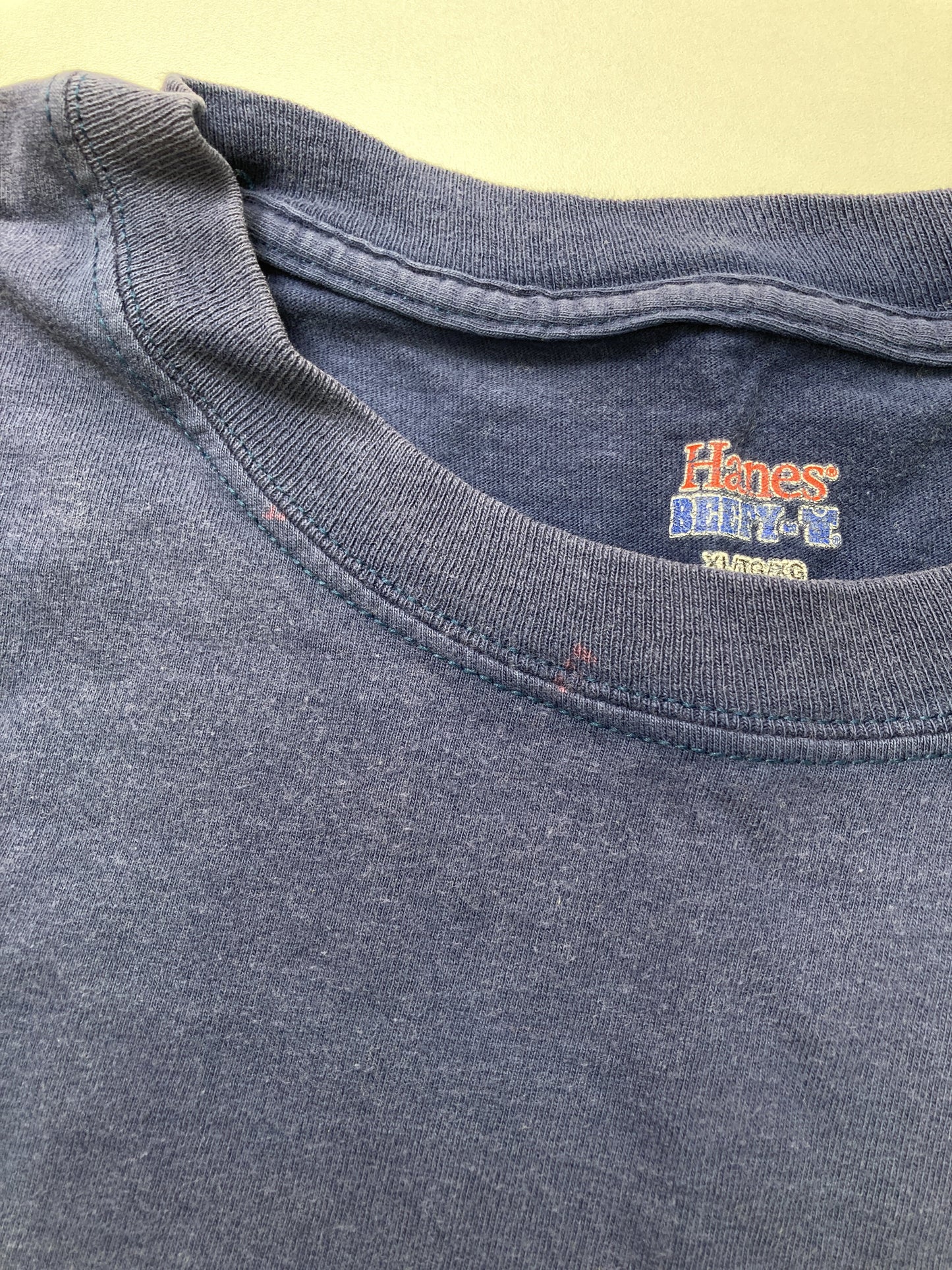 Hanes/ヘインズ/Tシャツ/カットソー/トップス/ブルー/XL